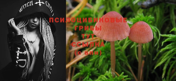 бутират Белокуриха